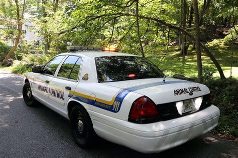 75 hickory kingdom road|Bear euthanized after attacking 7.